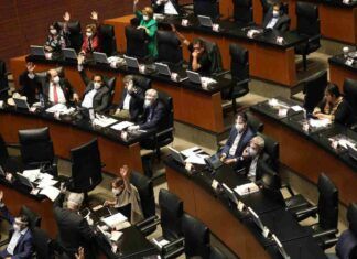 Senado impugnará ante el TEPJF candidatos a juzgadores ligados a narcotráfico