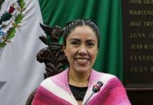 Poder Público / A Fanny Arreola le importa más su imagen que su gente