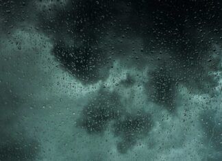 SMN prevé que de julio a septiembre habrá lluvias generalizadas en el país por el desarrollo del feminismo de “El Niño»
