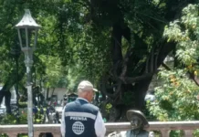 Poder Público / Pito Pérez cuestiona la inseguridad en Michoacán.