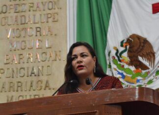 Diputada Elizabeth Mateos pide tipificar como delito tirar basura en la calle