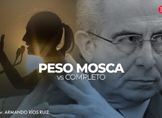 Peso mosca vs completo