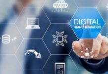 Para evitar su corta vida y poco desarrollo, urge digitalizar micro, pequeñas y medianas empresas
