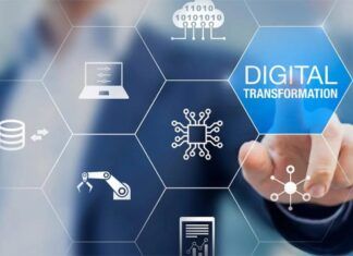 Para evitar su corta vida y poco desarrollo, urge digitalizar micro, pequeñas y medianas empresas