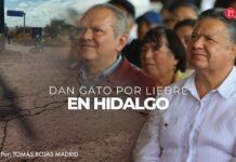Dan gato por liebre en Hidalgo