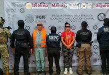 Detienen a María del Rosario ‘N’, presunta operadora del CJNG buscada por el FBI