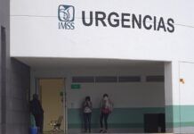 Reportan segundo caso humano de miasis por gusano barrenador en México