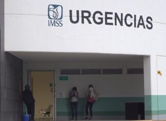 Reportan segundo caso humano de miasis por gusano barrenador en México