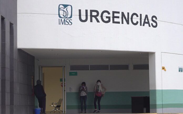México reporta segundo caso humano de miasis por gusano barrenador en un hombre de 50 años