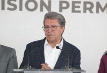Yo Campesino / Ilusos