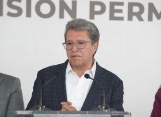 Yo Campesino / Ilusos