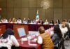 Colectivos de madres buscadoras proponen a Segob nueva técnica de identificación forense