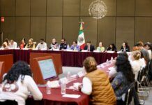 Colectivos de madres buscadoras proponen a Segob nueva técnica de identificación forense