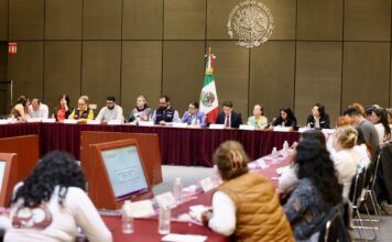 Colectivos de madres buscadoras proponen a Segob nueva técnica de identificación forense