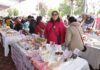 Realizan en Tecámac la Feria de Mujeres Emprendedoras; Participan Ocho Municipios