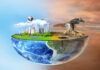 Cultura Impar / Lector: También tú eres el medio ambiente