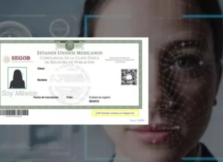 El CURP, derecho a la privacidad