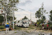 Atienden Cuerpos de Emergencia Caída de árboles en Ojo de Agua; sin lesionados