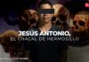 Jesús Antonio, “El Chacal” de HermosilloTomás Rojas Madrid