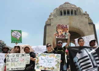 Actores de doblaje protestaron para exigir legislación en uso de voz frente a IA