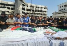 Periodistas mexicanos condenan asesinato de colegas en la Franja de Gaza