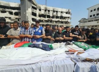 Periodistas mexicanos condenan asesinato de colegas en la Franja de Gaza