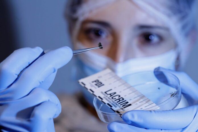 Entomologia-forense-1_