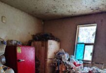 Rescata Gobierno de Tecámac 90 Gatos de una Vivienda