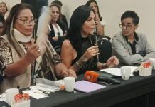 Derechos plenos a la comunidad Transexual en la Carta Magna: diputada Diana Sánchez Barrios