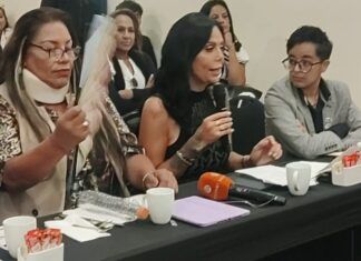Derechos plenos a la comunidad Transexual en la Carta Magna: diputada Diana Sánchez Barrios