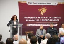 Impulsa Gobierno de Tecámac las Pequeñas y Grandes inversiones: Rosi Wong