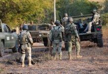 La Columna / Ejército viola derechos humanos en Acahuato