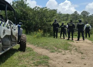 Poder Público / Policía Morelia corre a delincuentes