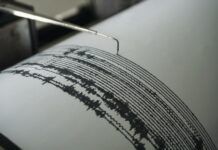 Sismo de magnitud 7.4 sacude costas de Chiapas; activan protocolos de revisión