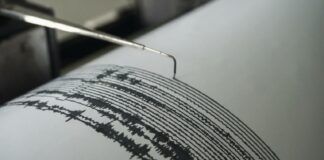 Sismo de magnitud 7.4 sacude costas de Chiapas; activan protocolos de revisión