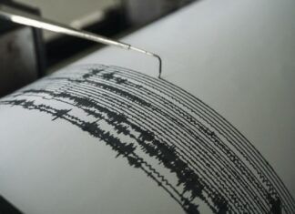 Sismo de magnitud 7.4 sacude costas de Chiapas; activan protocolos de revisión