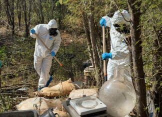 Autoridades federales aseguraron más de 140 mdp en drogas en Sonora y Sinaloa