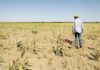 4T, ¡destruye el campo!