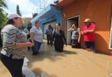 Más de mil damnificados en Guanajuato por desbordamiento de río Lerma a causa de lluvias