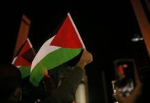 Bélgica reconocerá al Estado de Palestina durante la Asamblea de la ONU
