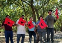 Pizcadores de tomate logran mejoras laborales en California pese a redadas