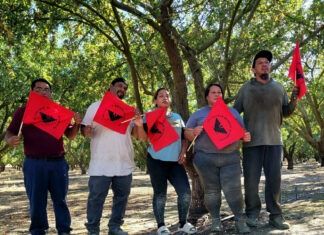 Pizcadores de tomate logran mejoras laborales en California pese a redadas
