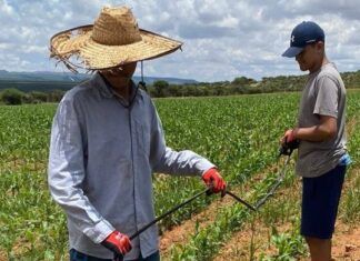 De la Ciudad / ¡Círculo vicioso frente a importaciones de alimentos!
