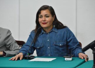 Proponen espacios de venta para nenis en el Buen Fin 2025