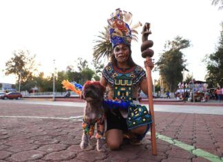 Tecámac celebra el Día de Muertos con un espeluznante y peludo desfile de disfraces