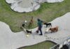 El Parque Canino, con Gran Aceptación Entre los Tecamaquenses