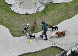 El Parque Canino, con Gran Aceptación Entre los Tecamaquenses