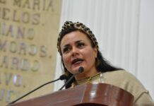 Impulsan propuesta de Videovigilancia Escolar
