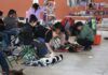 Ha Esterilizado Gobierno de Tecámac Cerca de Diez mil Perros y Gatos en Este año