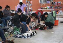 Ha Esterilizado Gobierno de Tecámac Cerca de Diez mil Perros y Gatos en Este año